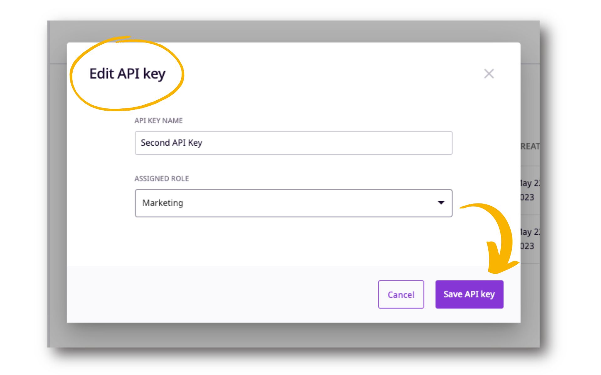 Api For Plytix - Colorful Illustration Collection - Retina Quality